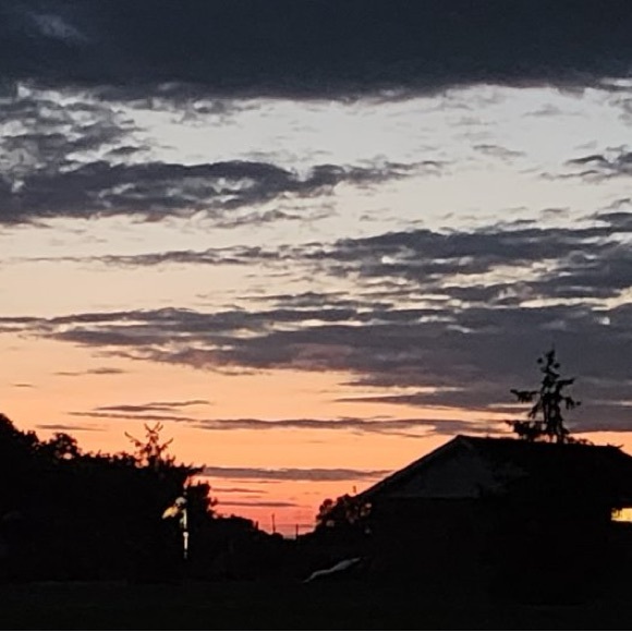 Meet your Posher, Dyan - Picture 1 of 1